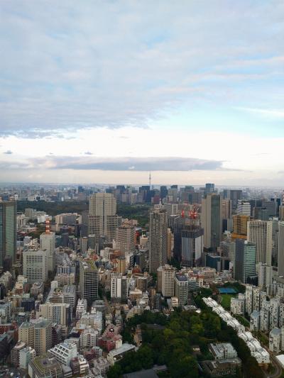 久しぶりの高級ホテルステイ♪リッツカールトン東京 その2