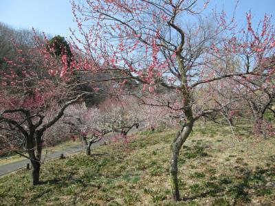 滑川町散策・城探訪