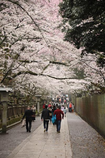 JALで香川・徳島へ　金刀比羅宮編