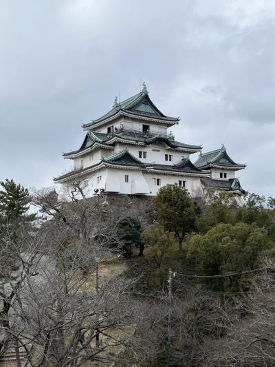 日帰りの和歌山は、圧倒的存在感の和歌山城！