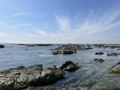 2023年　春前　海のギャング(　ﾟдﾟ)うつぼを食べに房総ドライブ♪( ´θ｀)