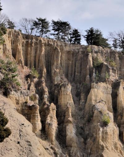 【国内373】2023.1徳島ドライブ旅行1-ホテルサンルート徳島に1泊，阿波の土柱，高開の石積み，美郷物産館で昼食