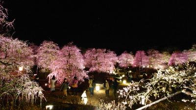 202303 ミドルシニアchappy夫婦が行く日帰りの旅　～初三重県～