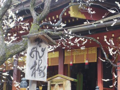 ANAのマイルで福岡へ　２.（太宰府の飛梅、kummingさんとオフ会）