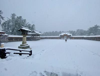 大雪の新潟！一泊二日 2022.12月「杉山清貴バンドツアー2022」(後)護國神社/大雪の怖さを知らないって無謀ですね～