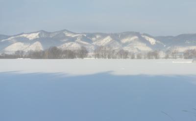 野生動物との戦い 釧網線