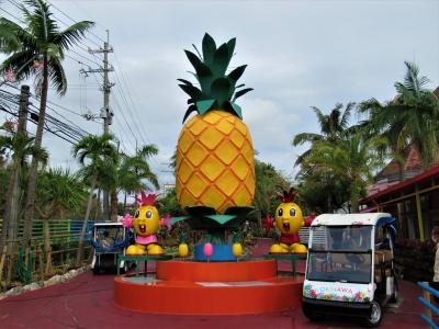 美ら海水族館の途次、ちょっとだけお土産買いに立ち寄った&#127821;「ナゴパイナップルパーク」