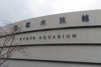 2日目 京都水族館