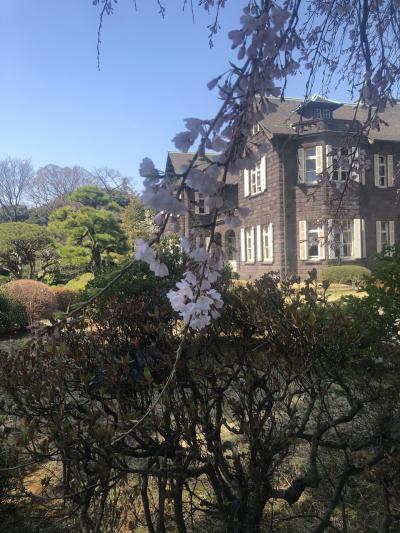 お花見とお出かけの記録～飛鳥山公園・旧古河庭園～