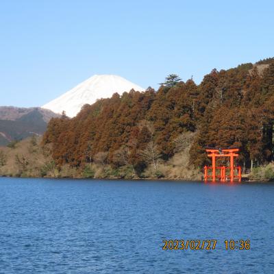 久し振りの箱根の旅⑥姥子～桃源台～元箱根港迄