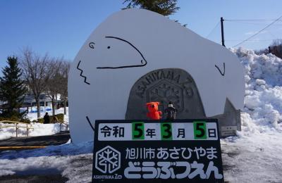 2023ANA修行7（旭山動物園と旭川グルメで隠し酒に出会う旅）