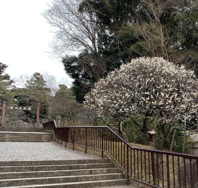 久し振りに成田前泊