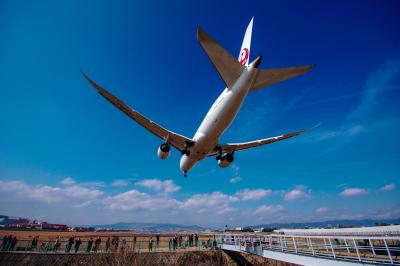 伊丹空港で飛行機を堪能