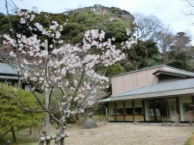 ただひたすらに鎌倉駅周辺散策