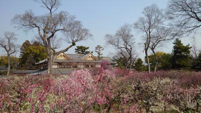 北野天満宮「花の庭」を訪れる