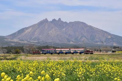 春の南阿蘇鉄道2021～菜の花と桜が彩る南郷谷を走るトロッコ列車、1000号記念～（熊本）