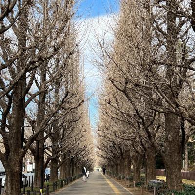 【2/21～】秋葉原、青山、乃木坂、横浜へ… 移動が多い出張