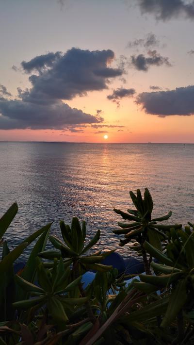 2023 沖縄北谷 春旅 2泊3日 2日目~最終日