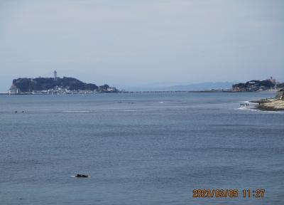 鎌倉に春が来た ： 鎌倉と江ノ電の旅