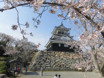 続日本百名城訪問履歴：(証拠写真があるのは)わずか７城の訪問のみ。