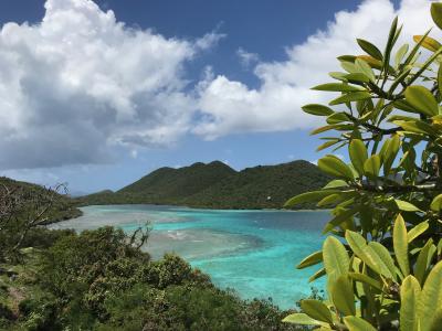 カリブ海　USVI(米領ヴァージン諸島) 船泊 2022 3月