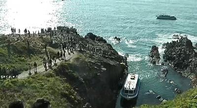 福井、金沢の旅 (回顧録)永平寺、東尋坊、金沢城、兼六園