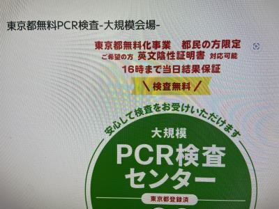 シニアの船旅（クルーズ）、2023年4月19日QE号クルーズで、日本一周（八代、福岡、富山、秋田）と釜山、シニアの船旅調査準備