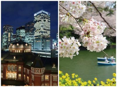 都内をぶらり～東京駅夜景＆千鳥ヶ淵の桜