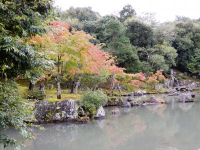 baba友と京都長期滞在 知的好奇心を満たす旅7日間(4)