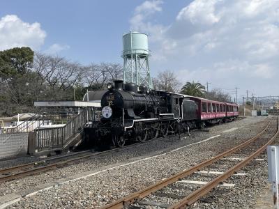 2023.3.9-11 京都、奈良、大阪の一人旅　2日目　嵐山、京都鉄道博物館からの難波グルメ旅