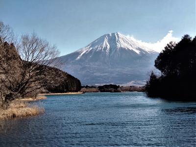 富士宮市　田貫湖を一周、そして朝霧高原を歩きます！（３/５）