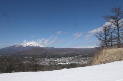 愛犬と一緒の信州冬旅♪　Vol.42　軽井沢プリンスホテルスキー場♪