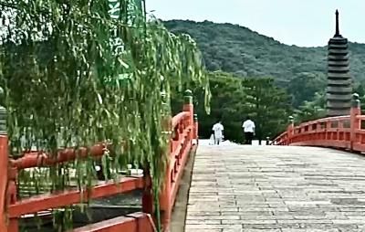 京都宇治の旅　平等院 宇治上神社(回顧録)