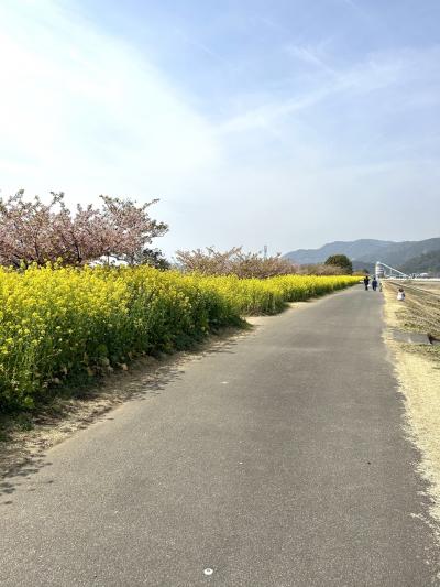 延岡花物語このはなロード、阿蘇の旅