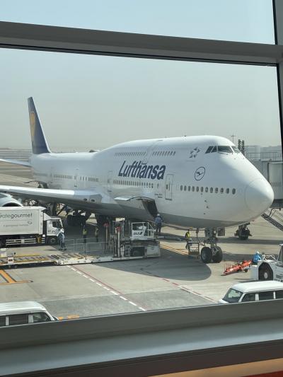 スペイン周遊☆3年ぶりに海外へ✈️9.10日目