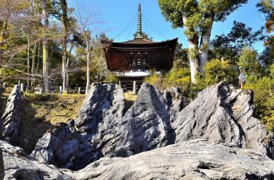 早春賦 近江 石山③石山寺 くぐり岩～本堂・子育観音