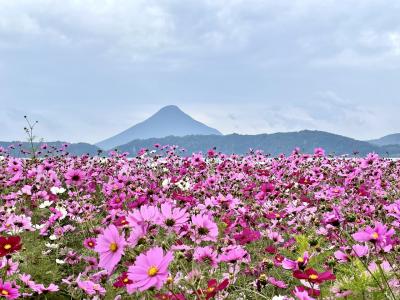 薩摩半島ドライブと雨の宮崎シーガイア①