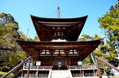 早春賦 近江 石山④石山寺 三十八所権現社・経堂・鐘楼・多宝塔・芭蕉庵・月見亭