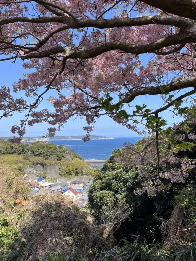 春の勝浦で遊ぶ