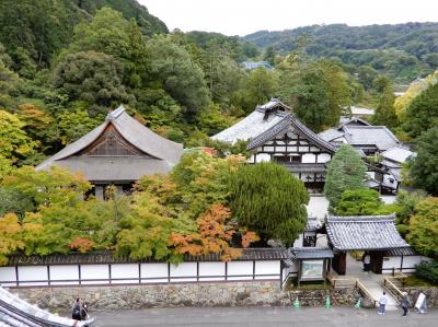 baba友と京都長期滞在 知的好奇心を満たす旅7日間(9)