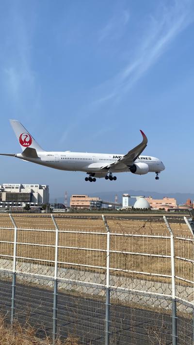 2023年3月② 千里川土手で飛行機撮影&日吉大社参拝