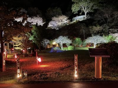 《2023.March》あみんちゅぶらり東海歩く旅そのⅣ静岡～西伊豆観光後編～