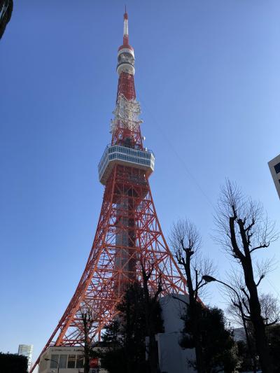 東京ランチ散歩　2022年11月～2023年2月