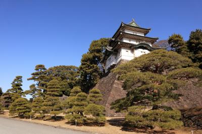 「河津さくら・皇居・迎賓館赤坂離宮」を巡る４日間の旅へ！　№２　東京都（皇居・迎賓館赤坂離宮）編