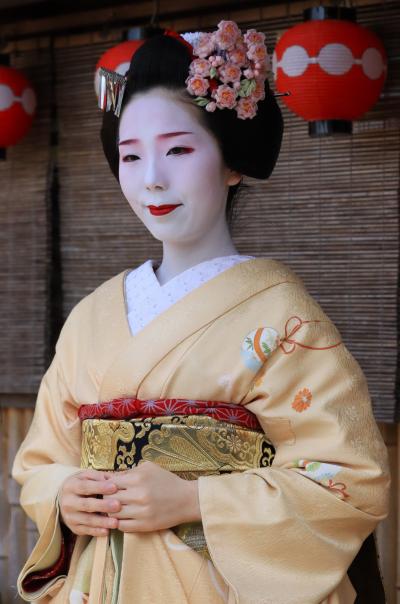 全国旅行支援で行く京都♪　しだれ梅の城南宮＆一見さんおこしやす　はんなり美し舞妓はん♪