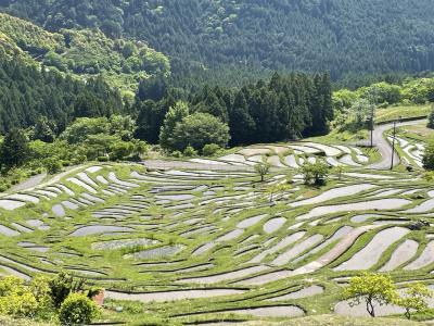 伊勢へ　朝熊山～夫婦岩～丸山千枚田