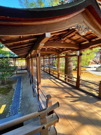 京都旅　大覚寺＜村雨の廊下＞　野宮神社　竹林の小道