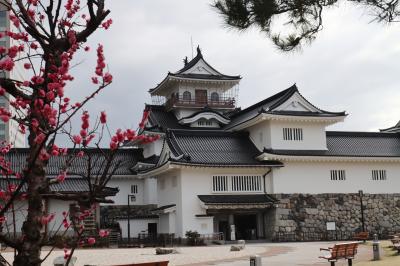 わたしの北陸旅物語　①富山市内散策