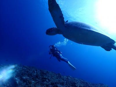 『ANAきゅん』伊良部島でHappy Diving