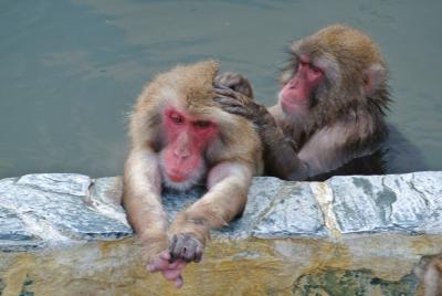 い～い湯だな～♪